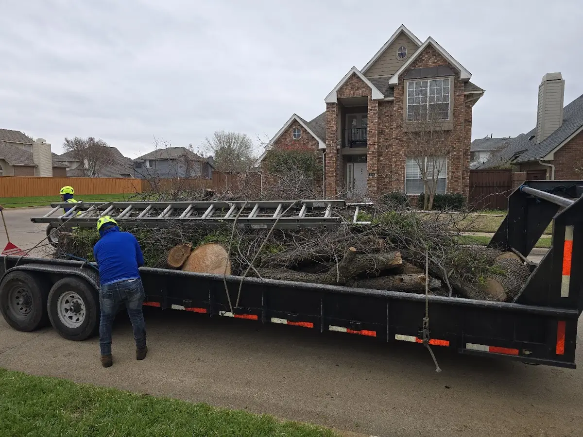 Expert Tree Fertilization with proper safety equipment in Campbellton